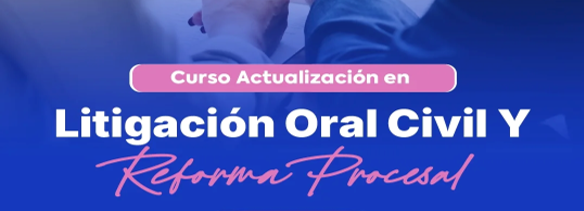 Curso de actualización en litigación oral civil